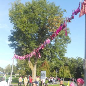 The Starting Line at the Run for the Cure 2012