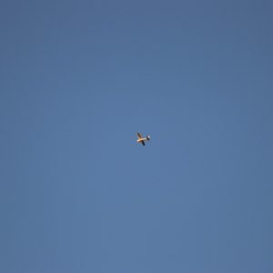 Clear skies lead to great photos of planes flying overhead during our Sermon on the Mount!